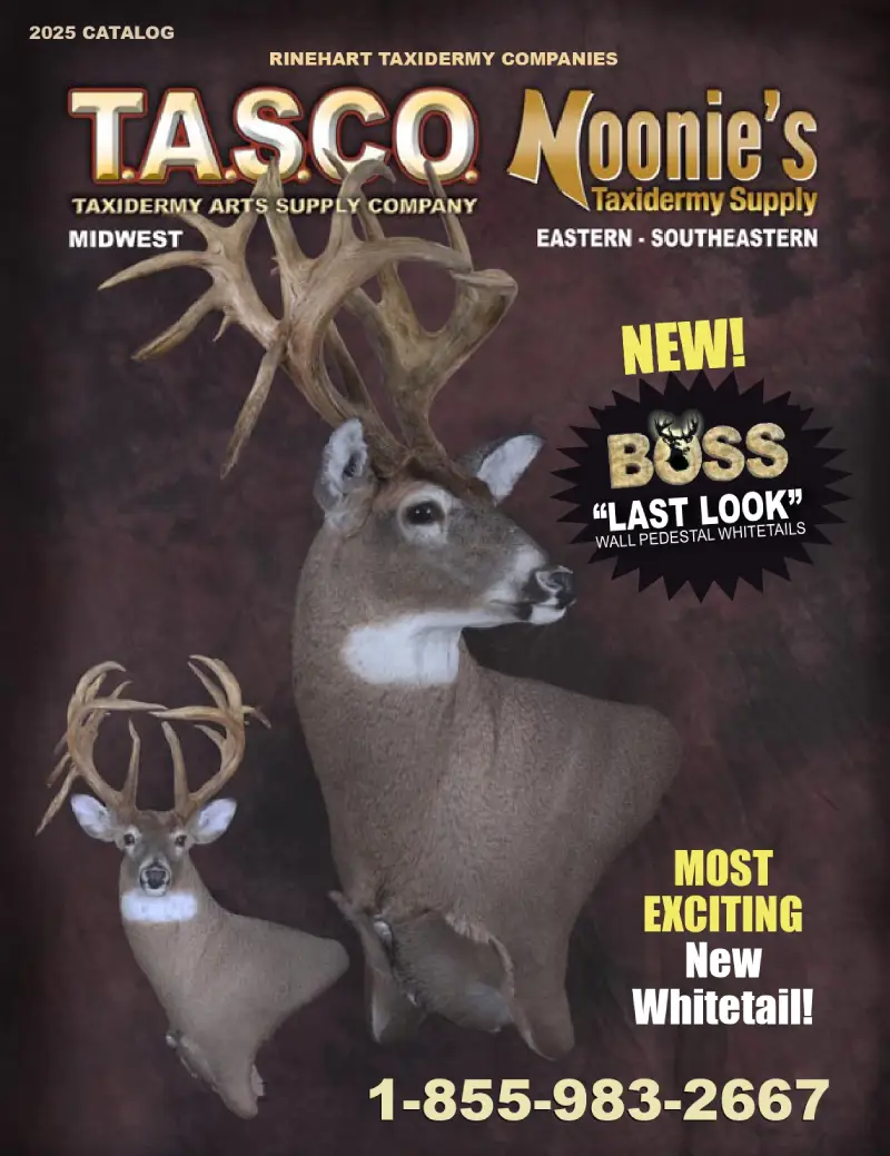 Taxidermy Catalog Cover