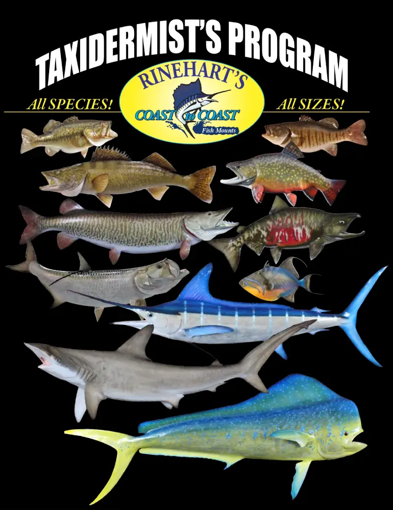 Fish Taxidermy Catalog Cover