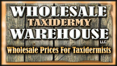 Wholesale Taxidermy Warehouse